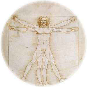 Leonardo Da Vinci's The Vitruvian Man
